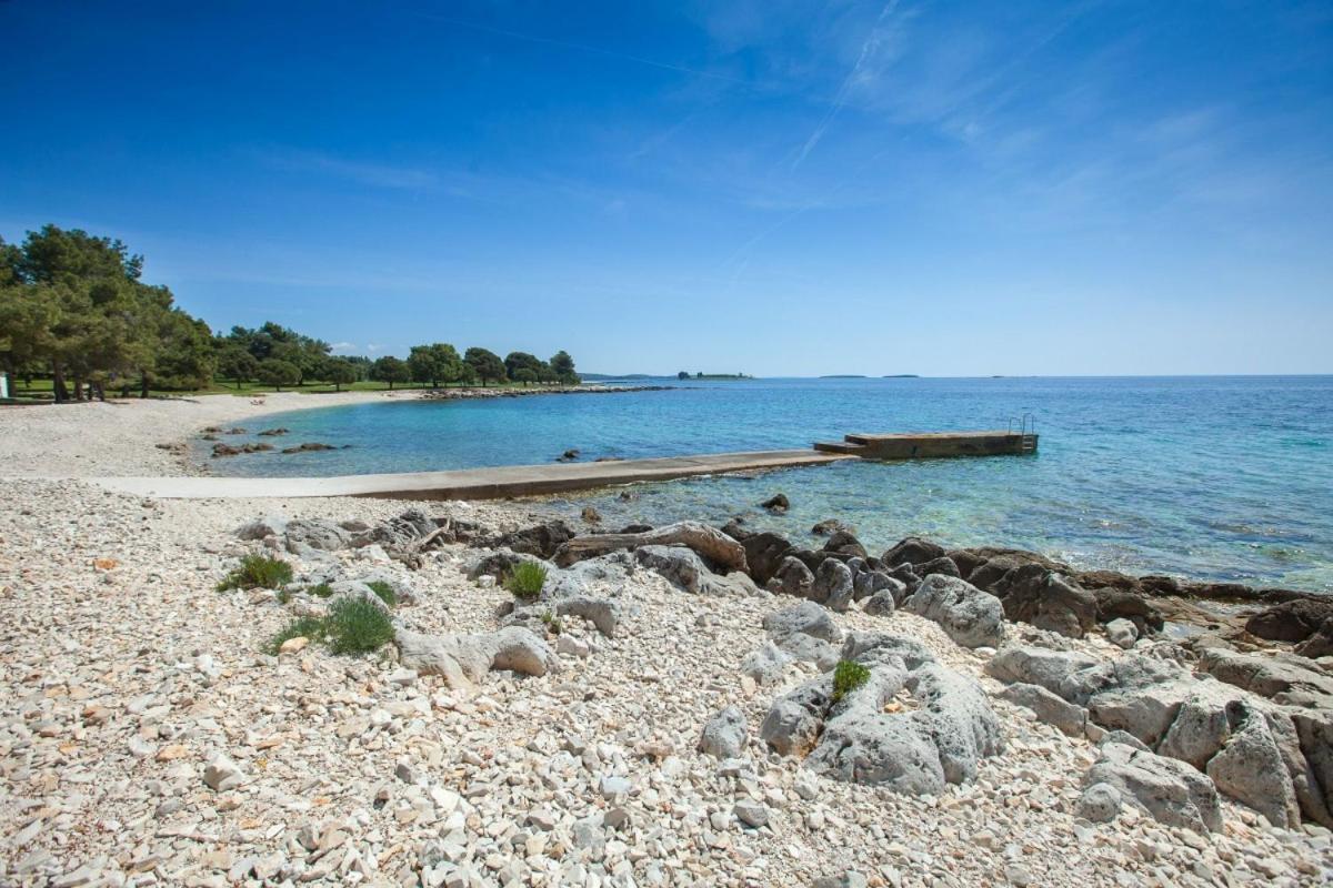 Apartment Dolly Completely Renovated 2023 Rovinj Exterior photo